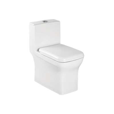 OEM White Ceramic One Piece Water Closet for Bathroom Use